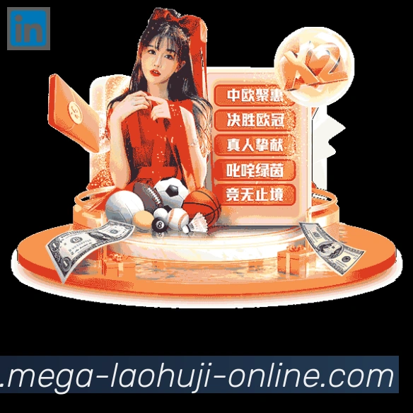 未来规划