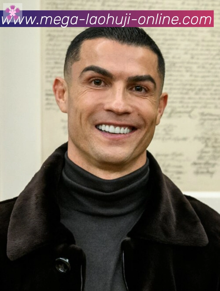 维尼修斯
